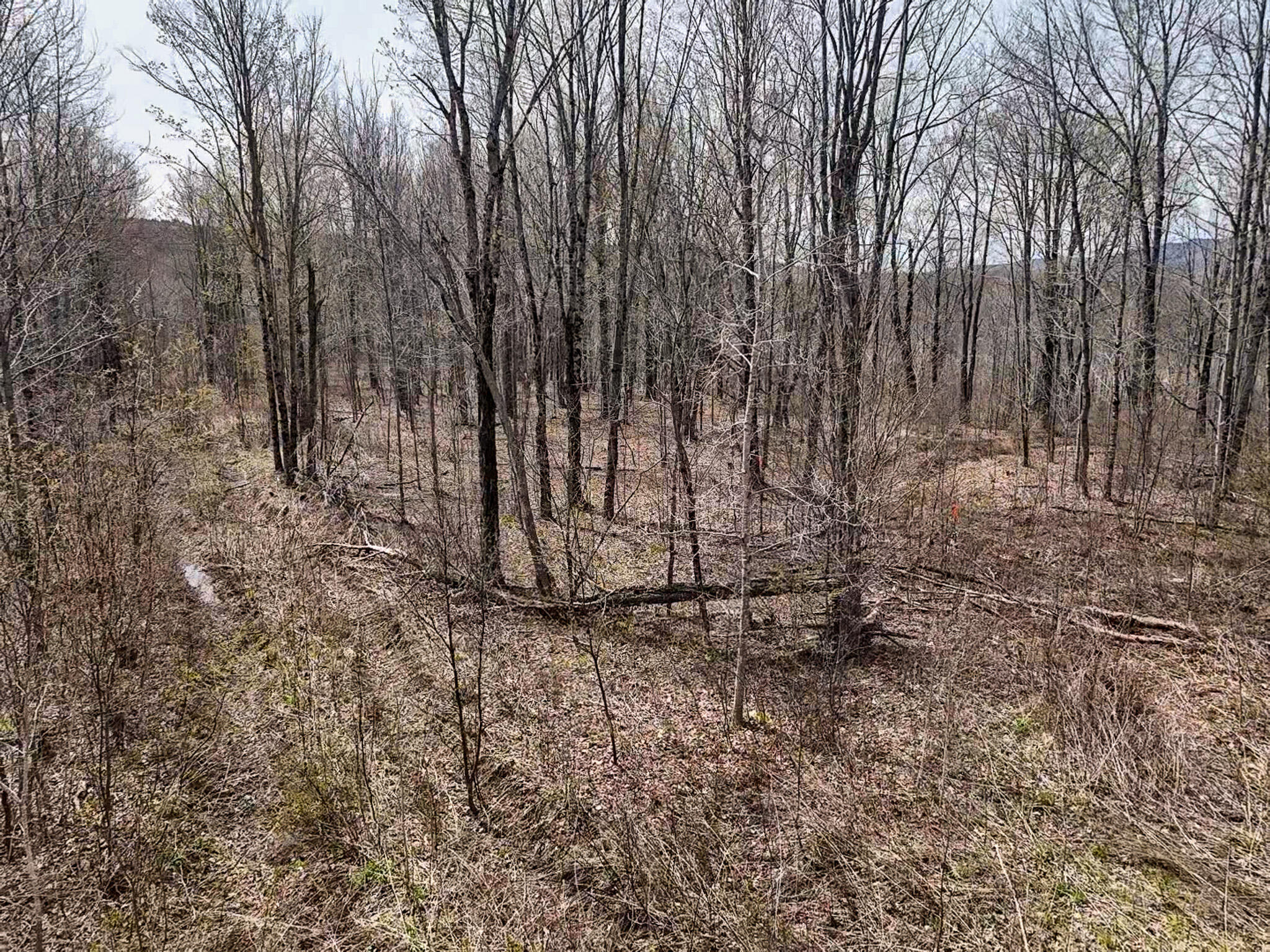 1 Center Hill Road Weld, ME 04285 - Photo 12 of 16