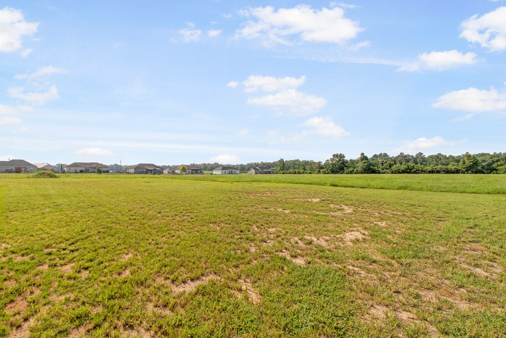 1624 Baxter Road Ashford, AL 36312 - Photo 46 of 46