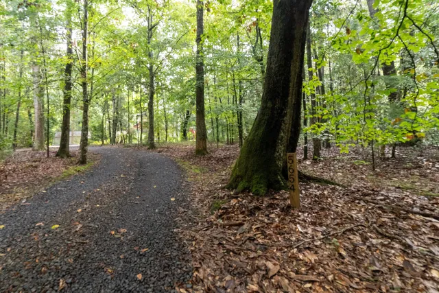 $745,000 | 5654 Middle Creek Road, Ravenel, SC 29470