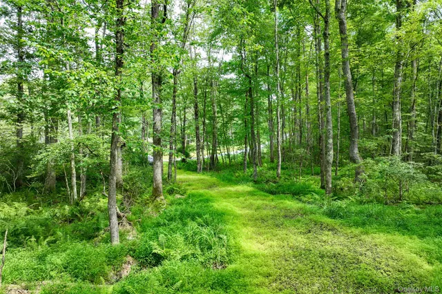 a view of outdoor space and green space