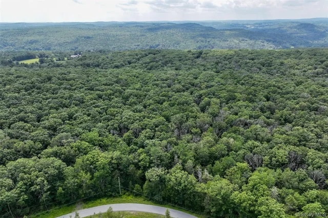 a view of a green field with lots of bushes