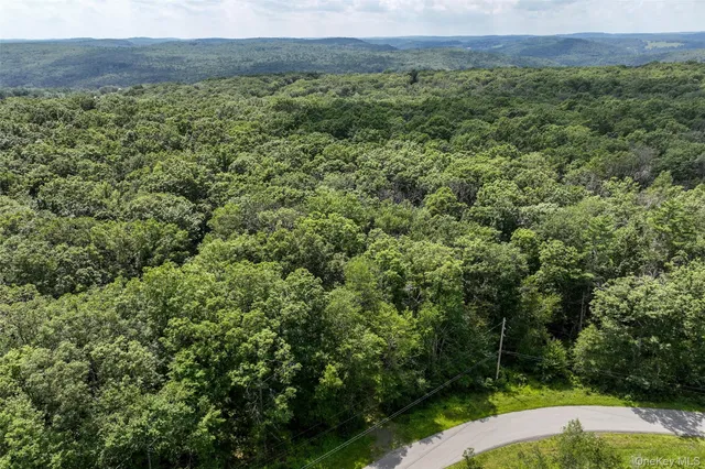 a view of a yard with an outdoor space