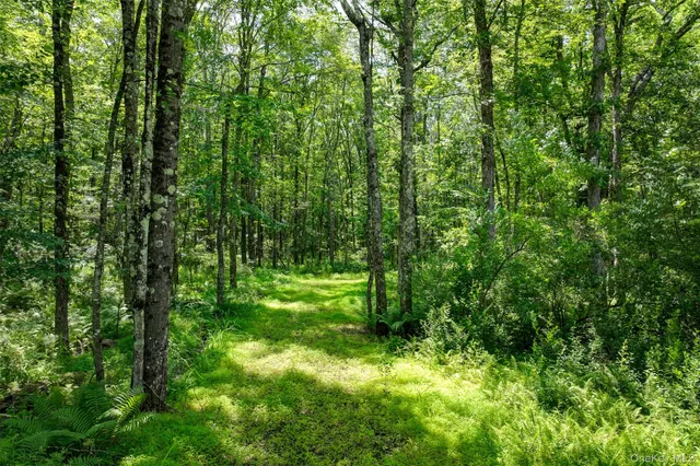a view of outdoor space and green space