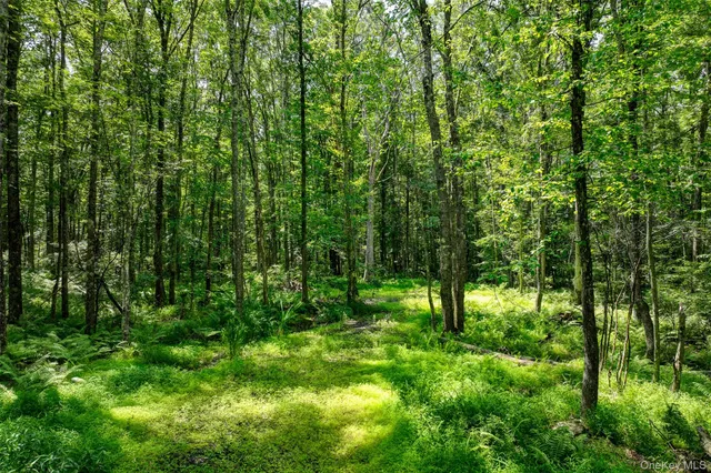 a view of outdoor space and garden
