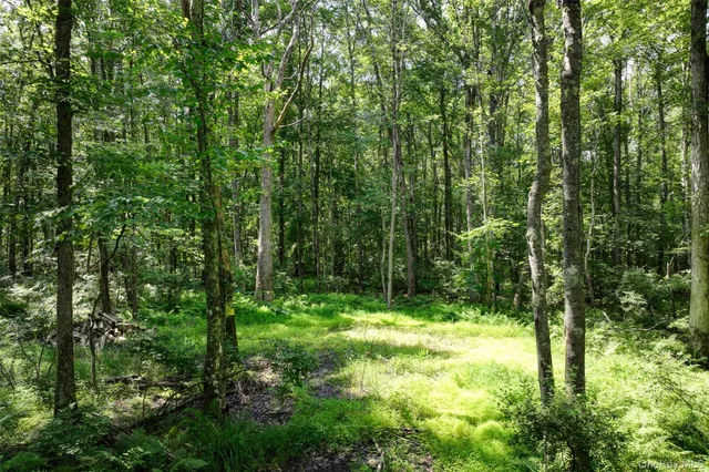 a view of outdoor space and trees