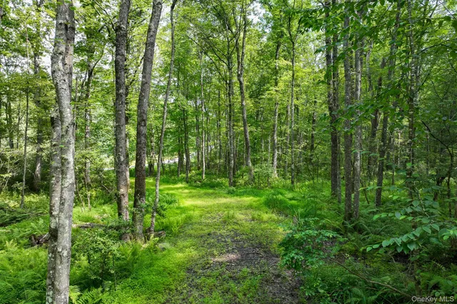 a view of outdoor space and green space