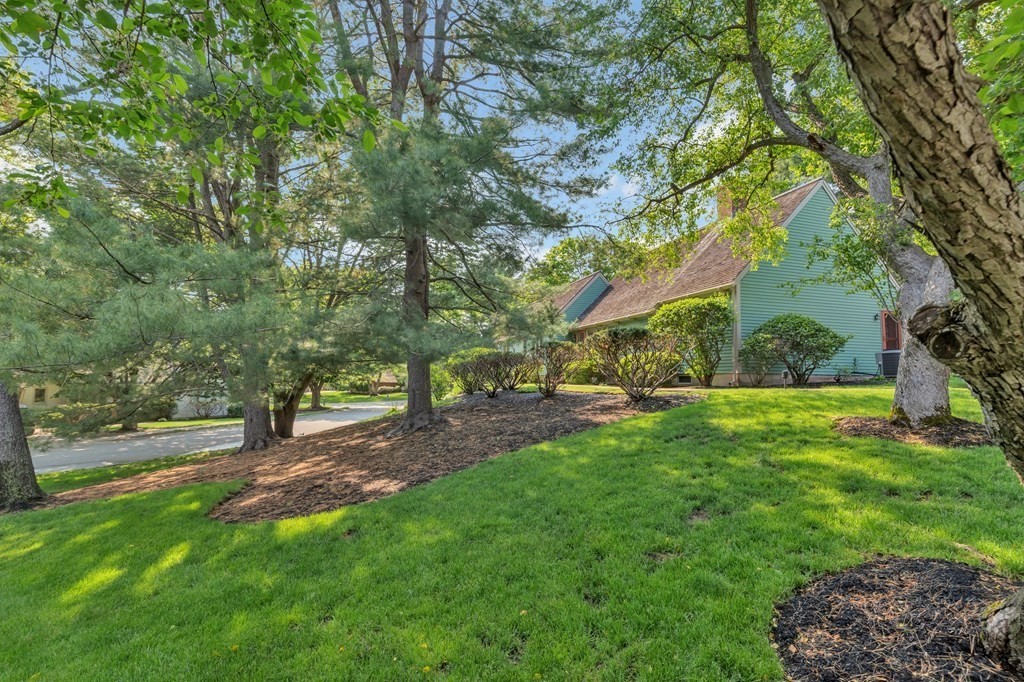 68 Potter Pond, Unit 68 Lexington, MA 02421 - Photo 27 of 28 a view of park with trees