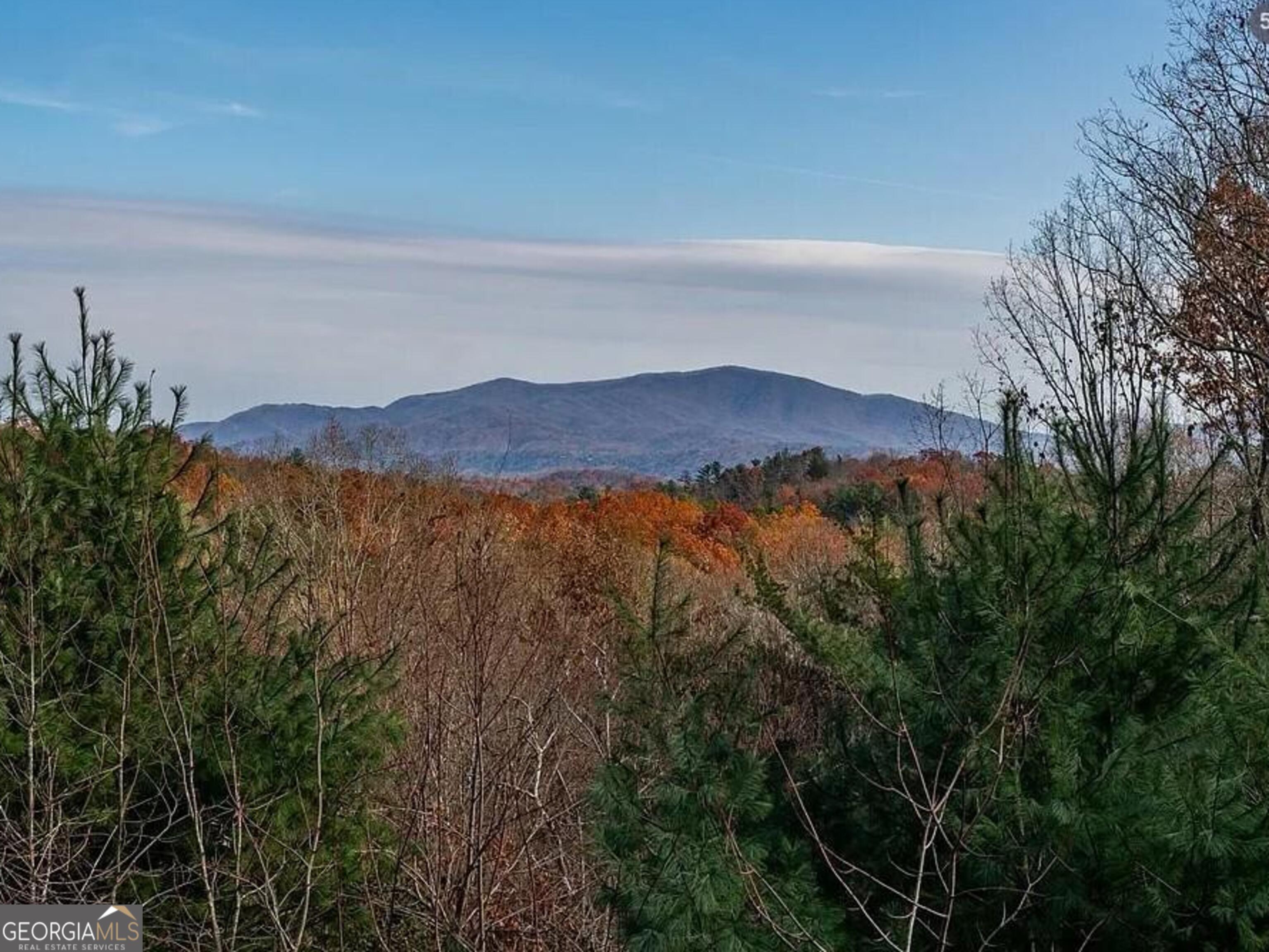 189 Trails End Ridge Ellijay, GA 30540 - Photo 43 of 46 Gallery Image 43