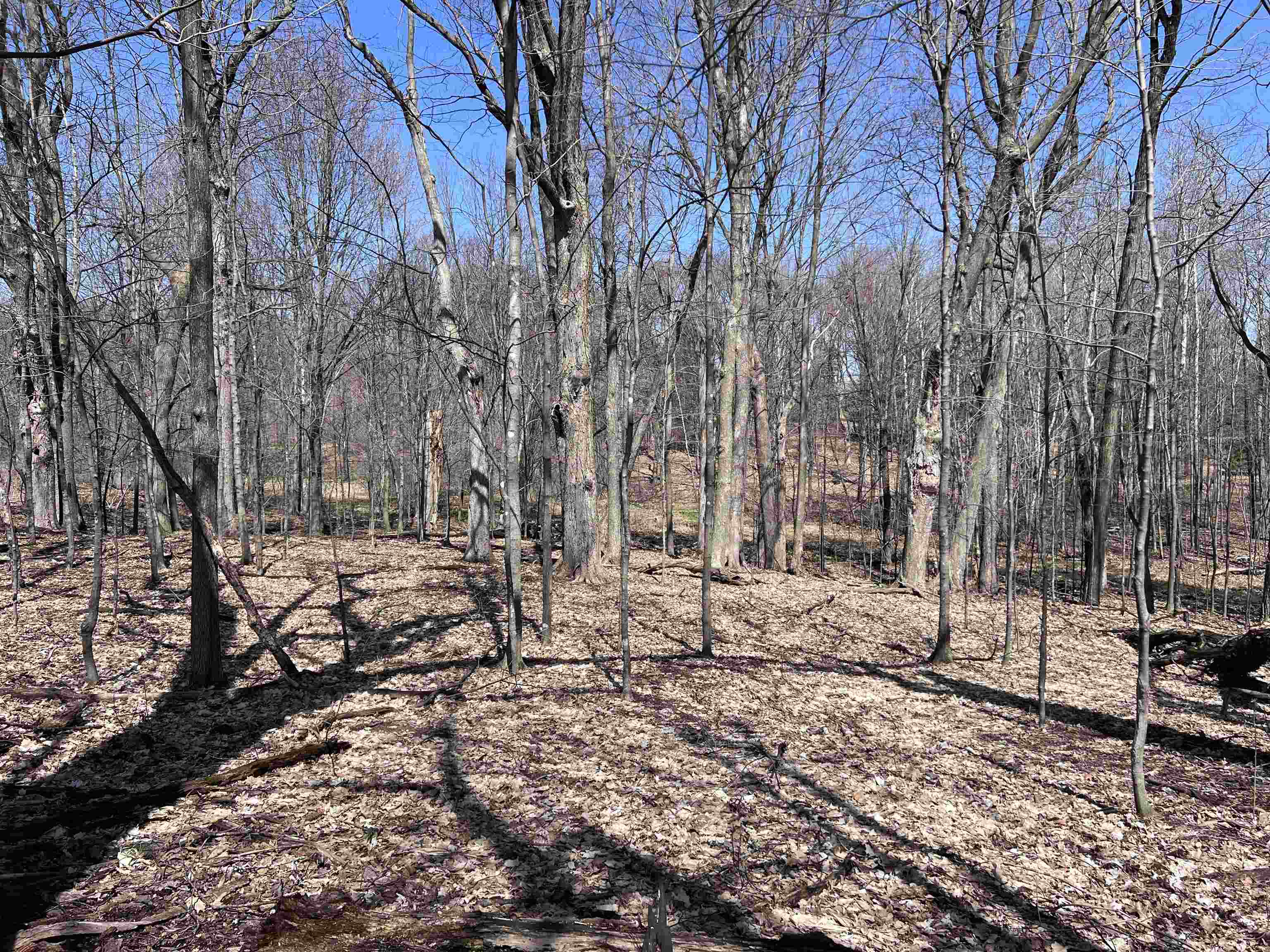 Canyon Road Wausau, WI 54403 - Photo 6 of 26