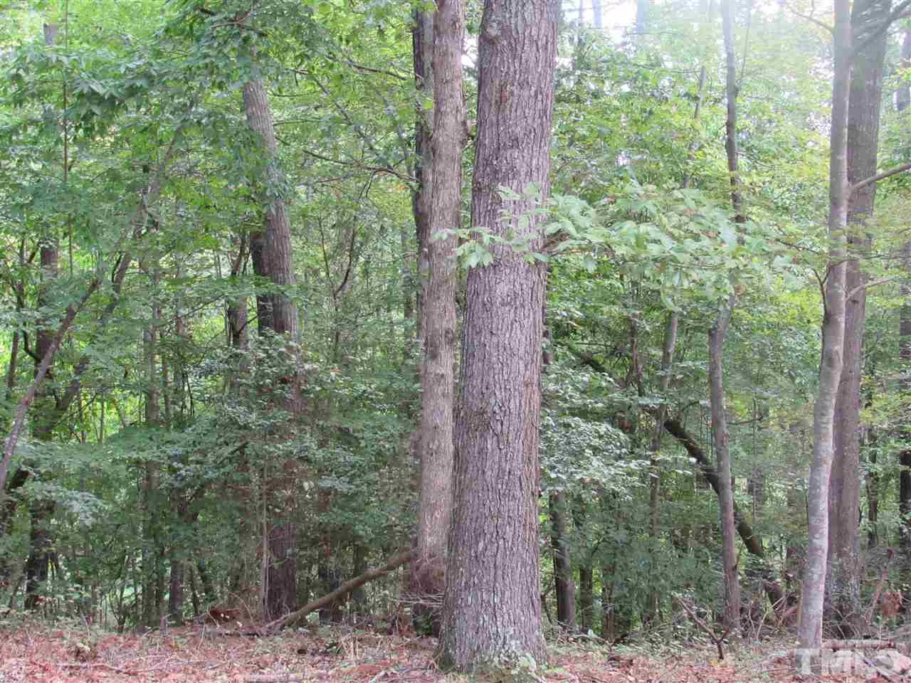 13624 New Light Road Raleigh, NC 27614 - Photo 11 of 12 a close up of a forest