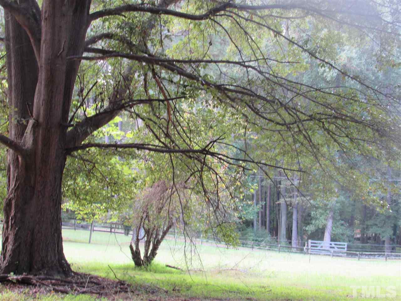 13624 New Light Road Raleigh, NC 27614 - Photo 7 of 12 a view of backyard with tree