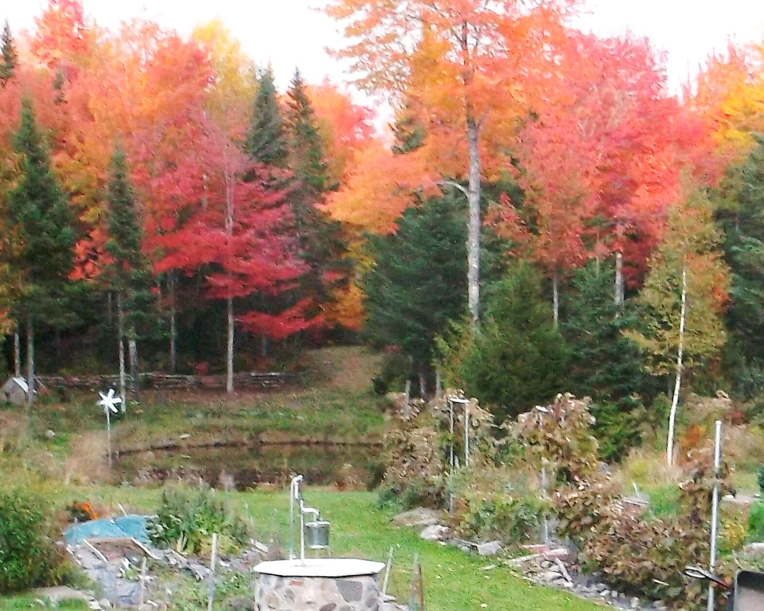 Fall
