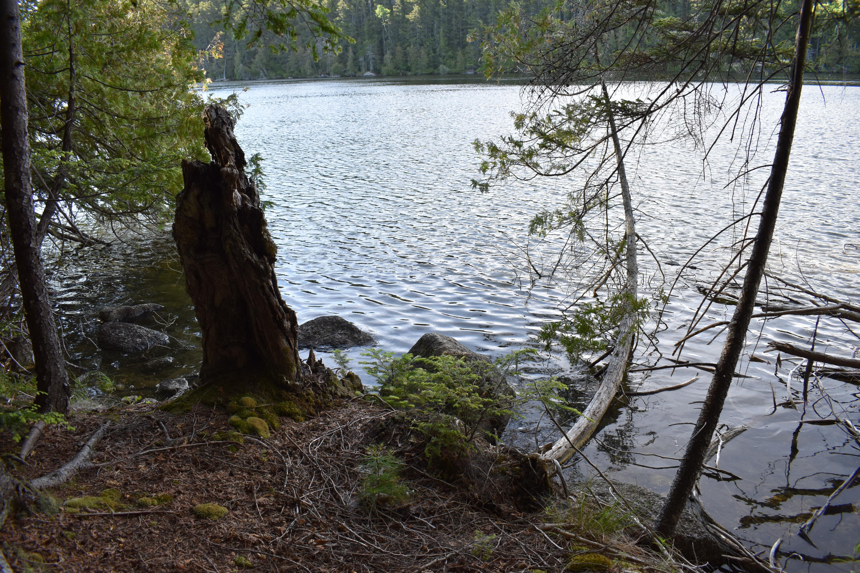 Lot 1-b-9 Lot 1-b-9 Road Weston, ME 04424 - Photo 1 of 22 DSC_0155