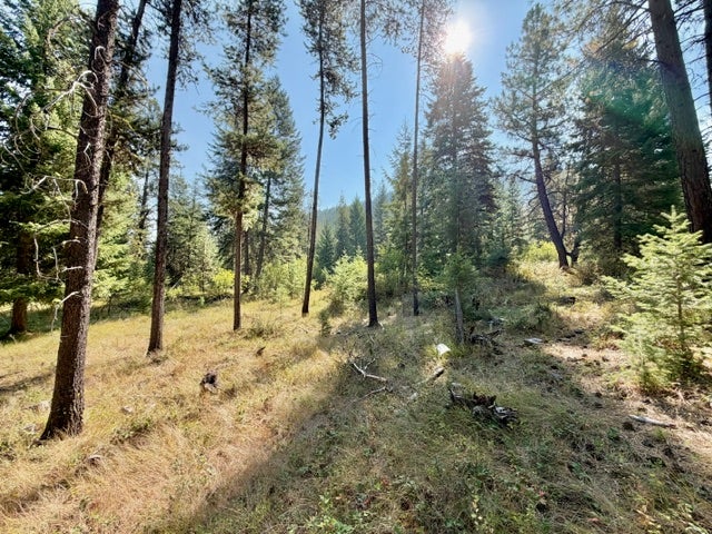 37 Big Horn Road Superior, MT 59872 - Photo 54 of 56 Gallery Image 54