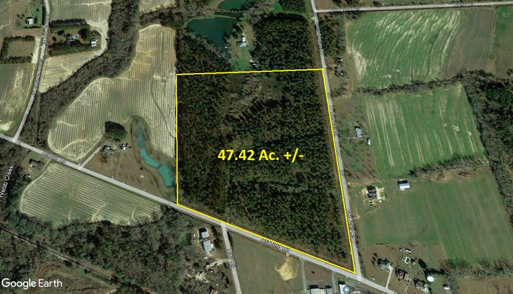 225 Ben Ivey Road Webb, AL 36376 - Photo 5 of 6