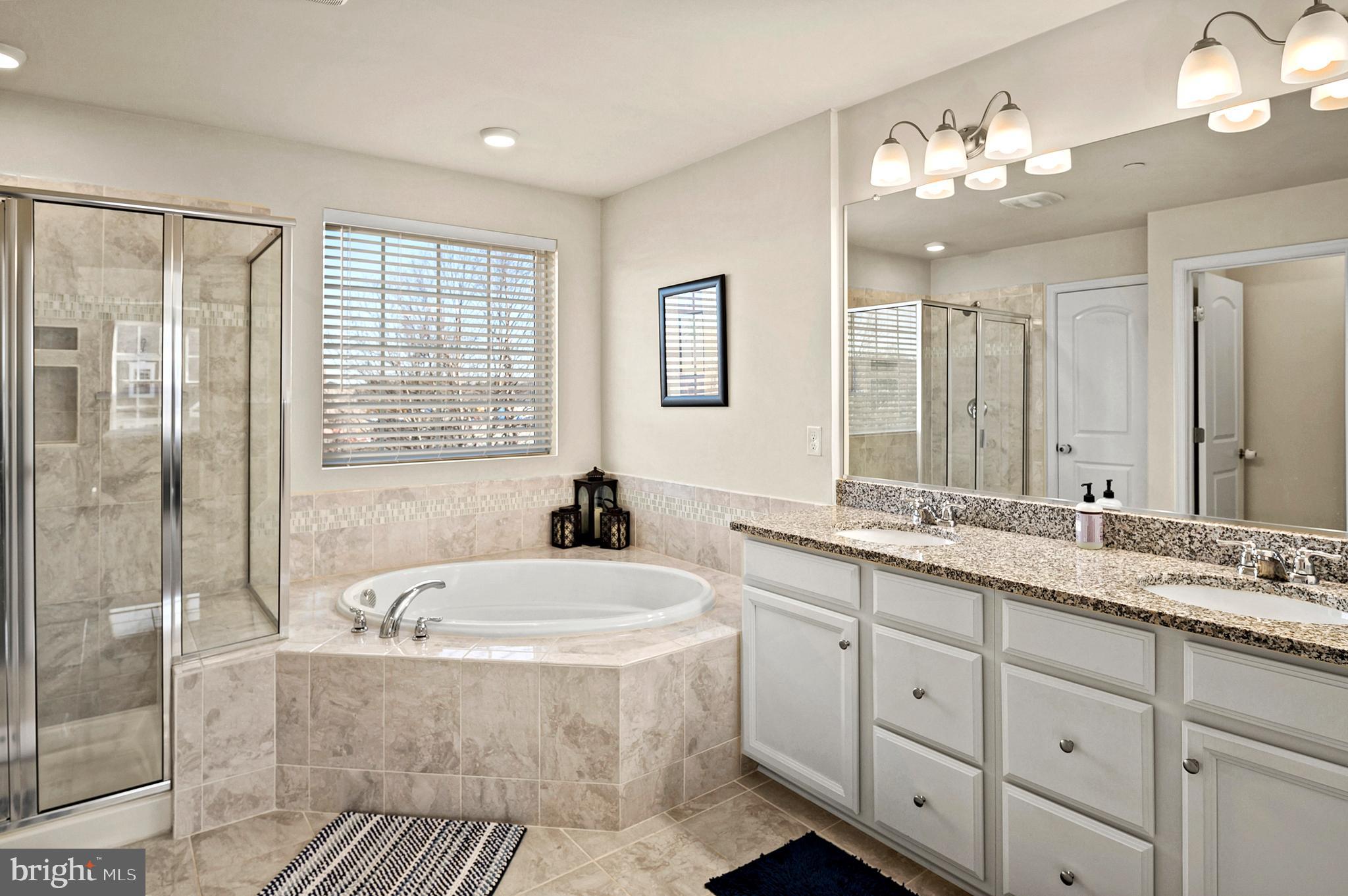 8141 Ridgely Loop Severn, MD 21144 - Photo 19 of 35 Primary Bathroom