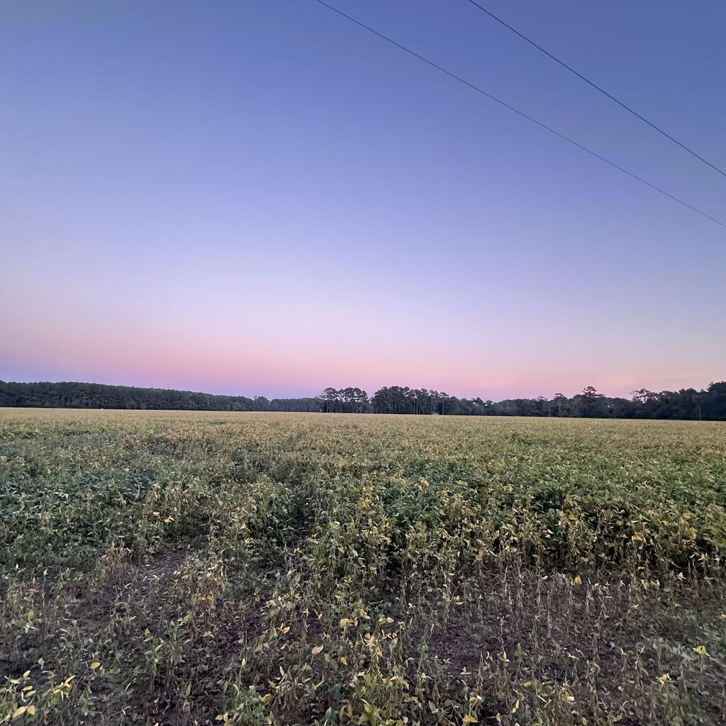 26254 Baylys Neck Road Accomac, VA 23301 - Photo 19 of 19 Gallery Image 19