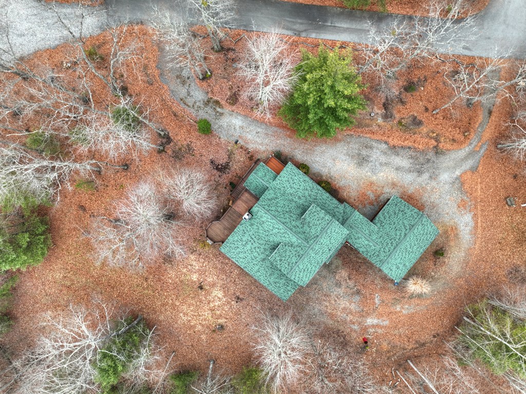 61 Spring Ridge Trail Morganton, GA 30560 - Photo 37 of 52