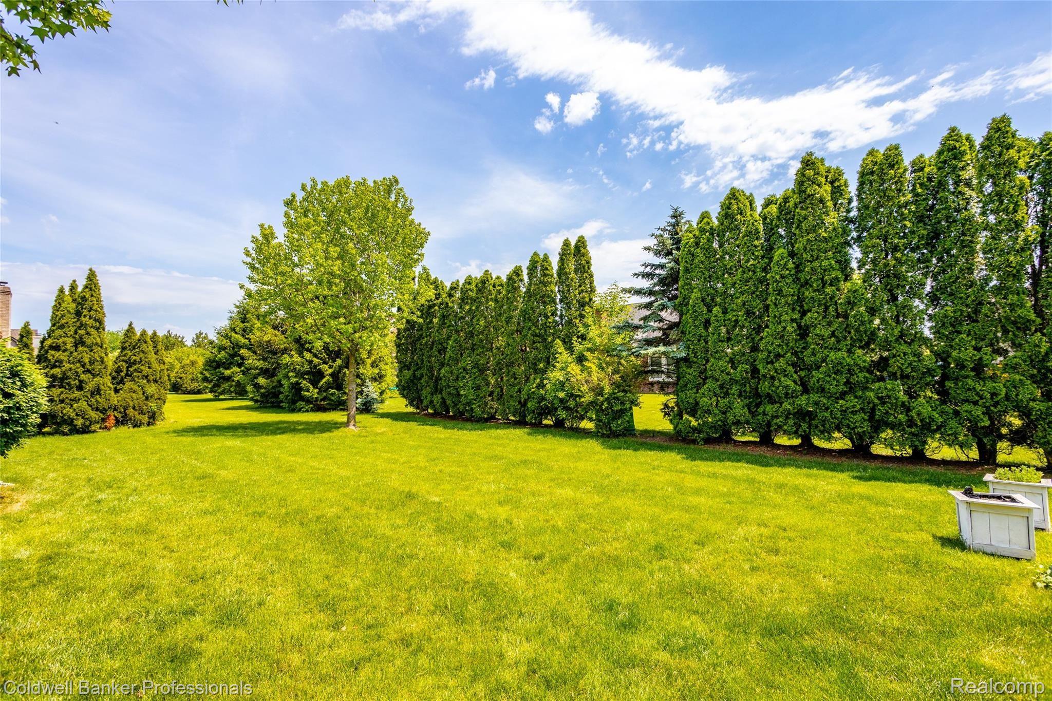 45357 Glengarry Road Canton, MI 48188 - Photo 8 of 45 45357 Glengarry L009.jpg