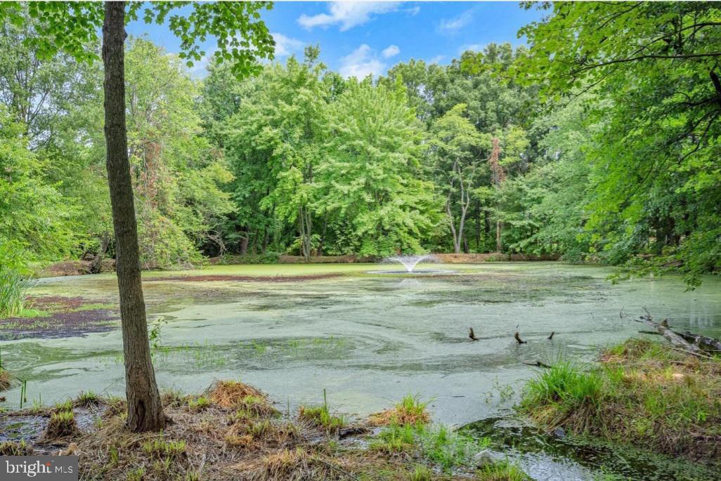 15716 Dorset Road, Unit 201 Laurel, MD 20707 - Photo 62 of 66