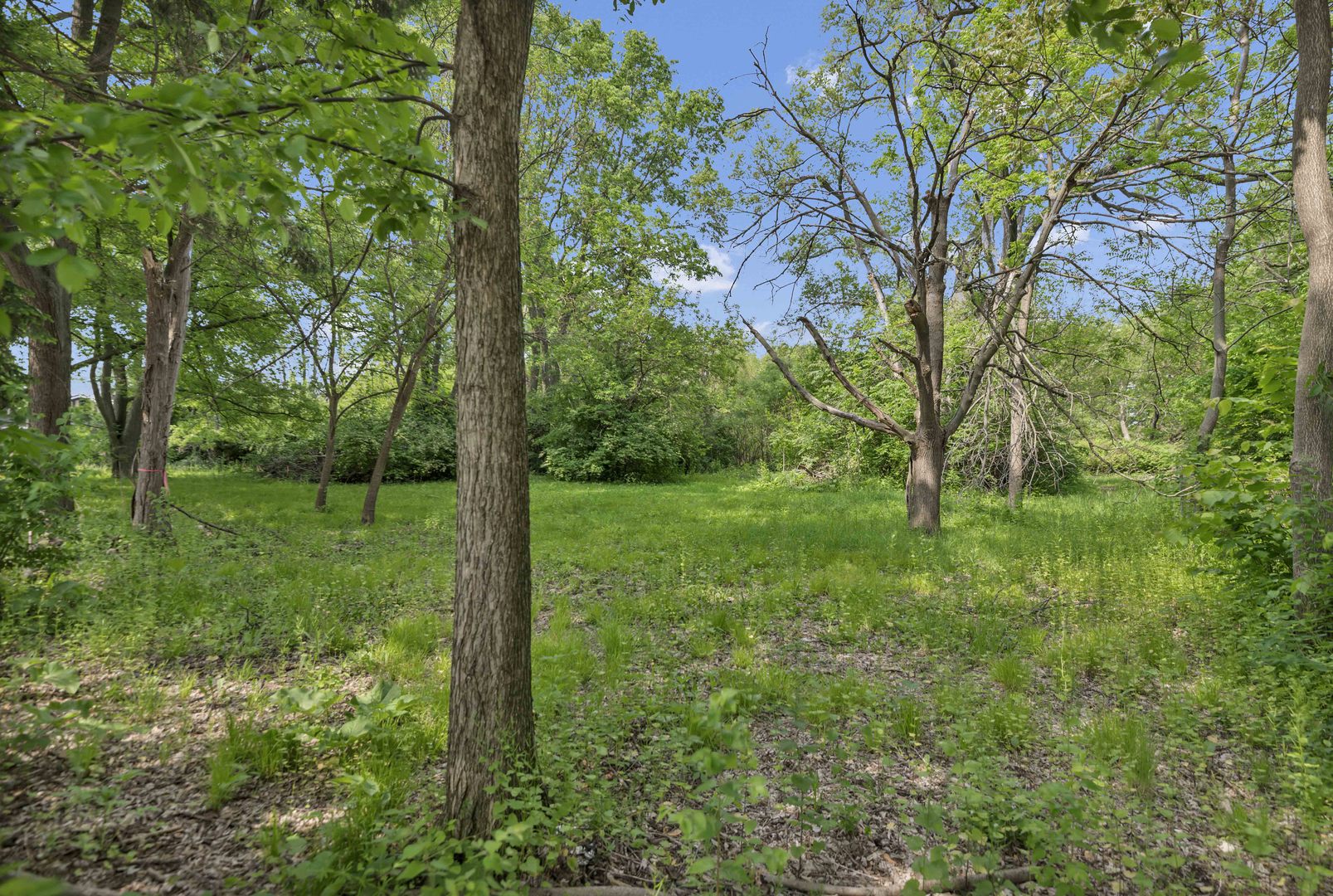 2623 Essington Road Joliet, IL 60435 - Photo 6 of 14