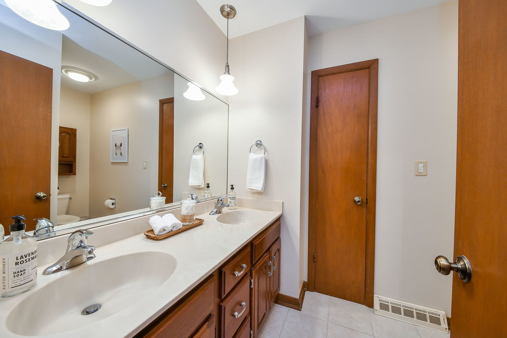 1920 Richard Street Aurora, IL 60506 - Photo 19 of 23 a bathroom with a double vanity sink a mirror and shower