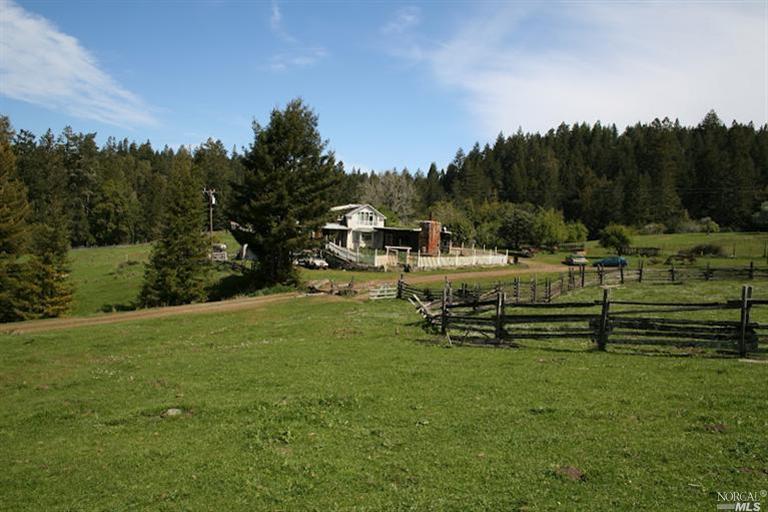 31010 Skaggs Springs Road The Sea Ranch, CA 95497 - Photo 1 of 1 a view of a park with large trees