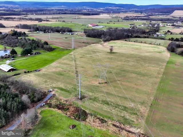 a view of a backyard with lawn chairs and plants