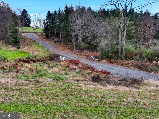 a big yard with lots of green space