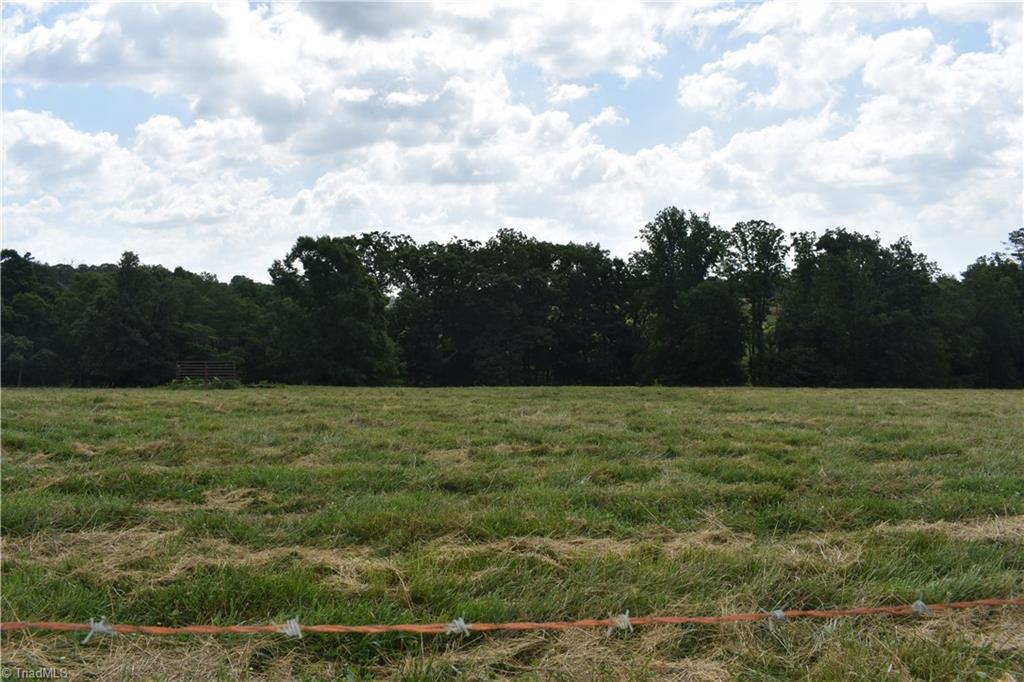 11 Oscar Calloway Road Thurmond, NC 28683 - Photo 2 of 20