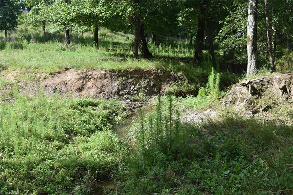 11 Oscar Calloway Road Thurmond, NC 28683 - Photo 7 of 20