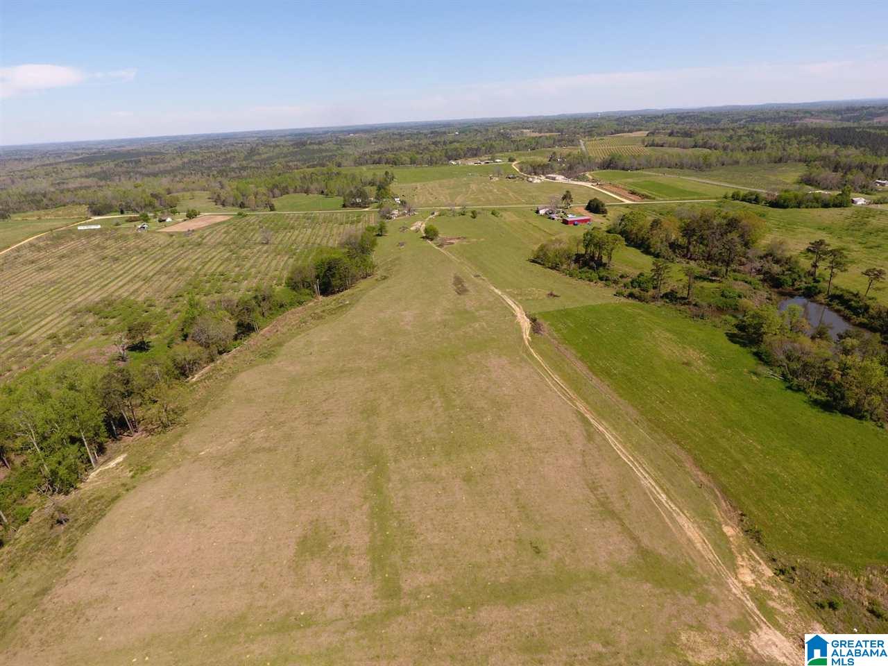 0 County Road 30, Unit 1 Clanton, AL 35045 - Photo 26 of 32