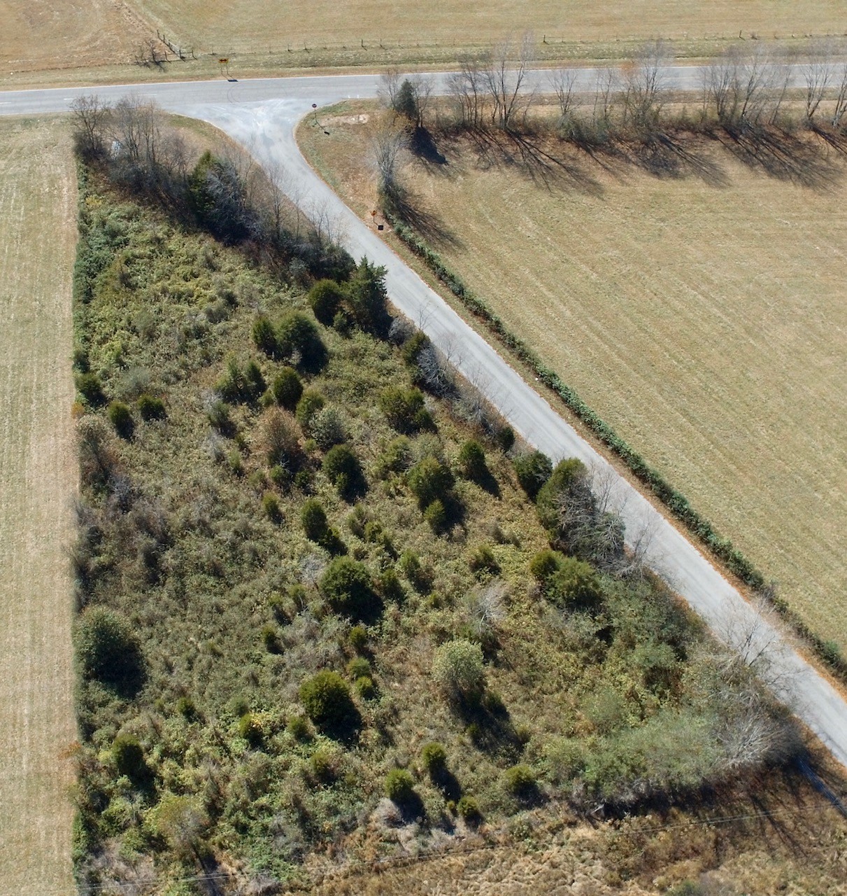 1 Jett Road Pulaski, TN 38478 - Photo 9 of 32 Gallery Image 9