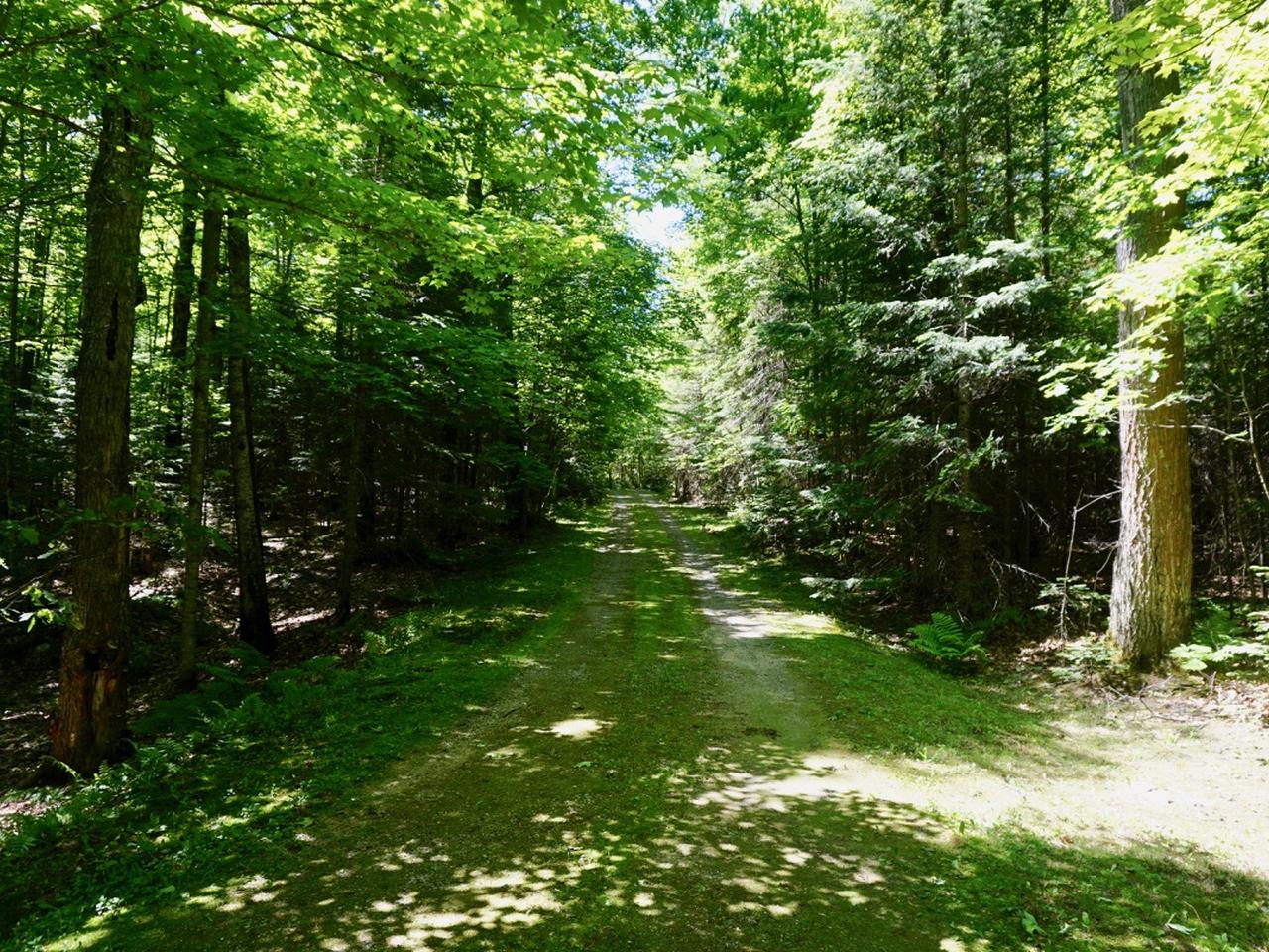 1762 Helen Lake Road Eagle River, WI 54521 - Photo 23 of 24 Gallery Image 23