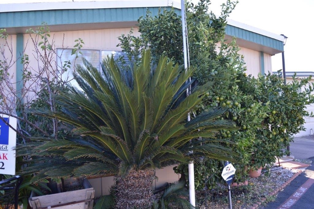 9459 Mission Gorge Road, Unit 2 Santee, CA 92071 - Photo 1 of 20