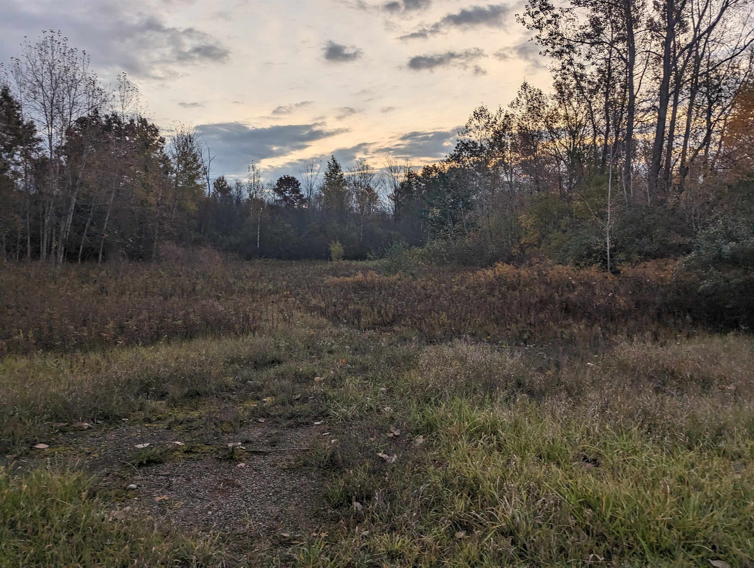 N/a South Hale Road Omer, MI 48749 - Photo 6 of 6
