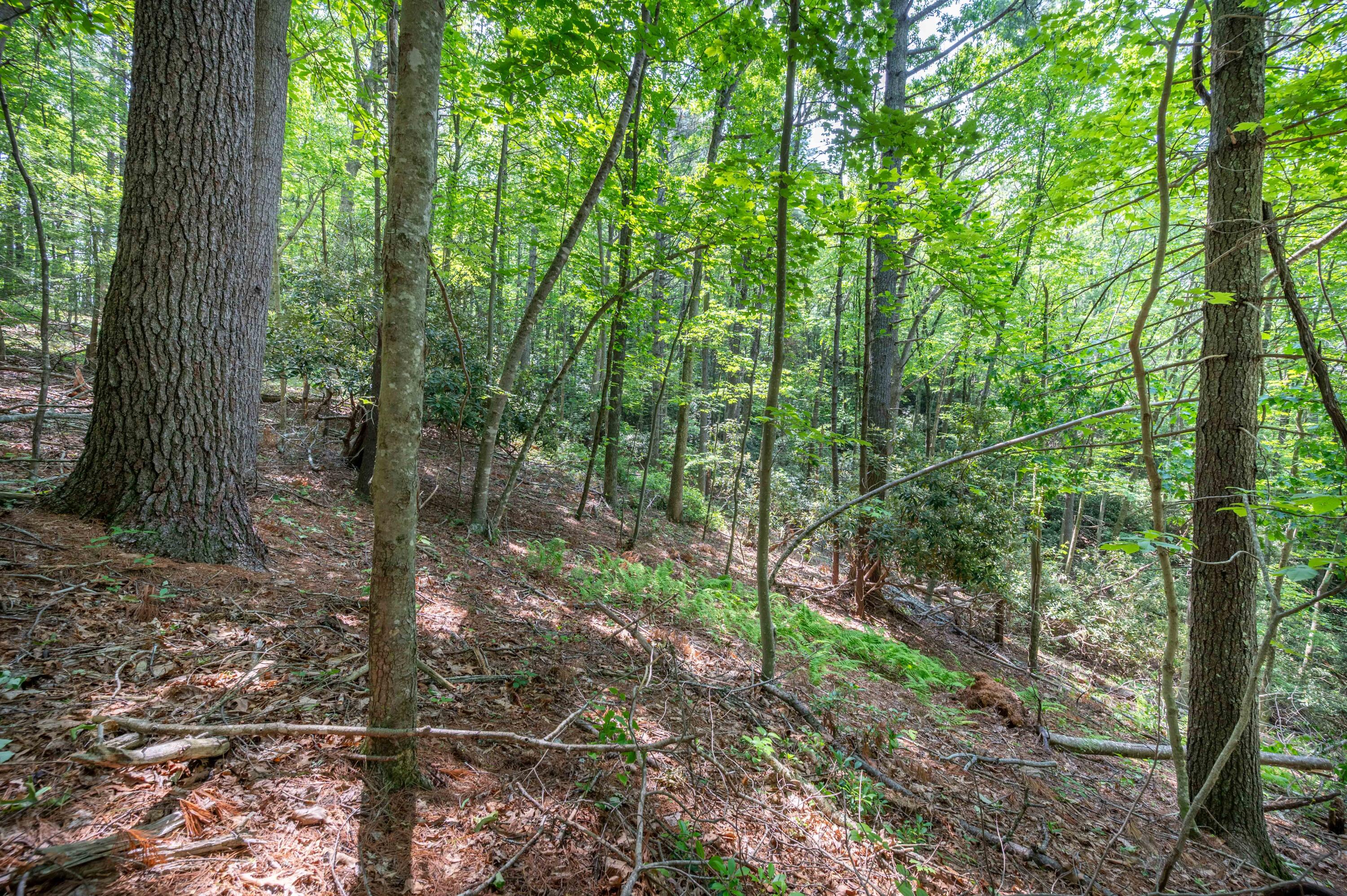 1073 Timberline Road Southeast Copper Hill, VA 24079 - Photo 33 of 56 32