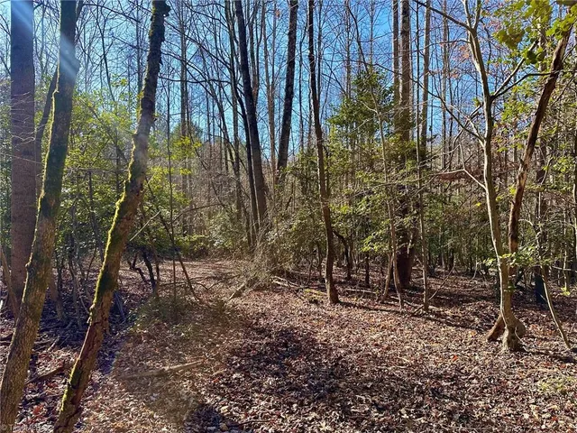 $42,000 | 220 Rainbow Trout Drive, Hays, NC 28635