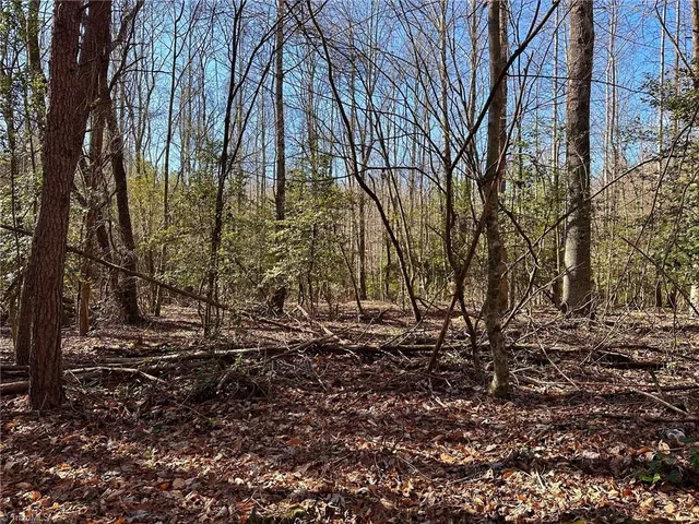 $42,000 | 220 Rainbow Trout Drive, Hays, NC 28635