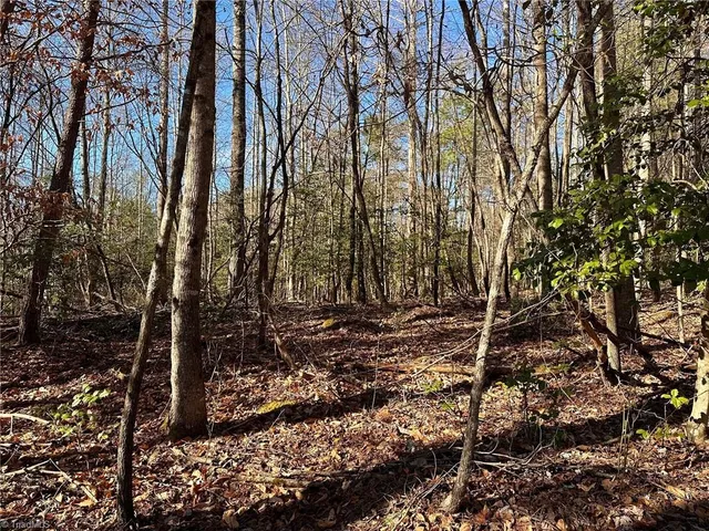 $42,000 | 220 Rainbow Trout Drive, Hays, NC 28635