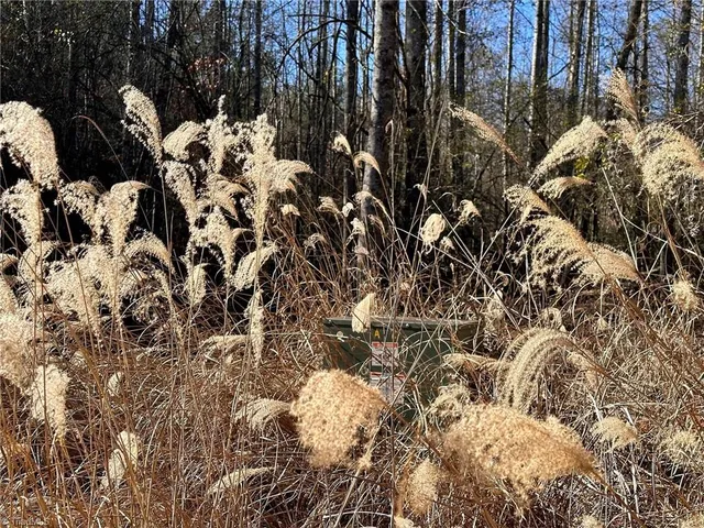 $42,000 | 220 Rainbow Trout Drive, Hays, NC 28635