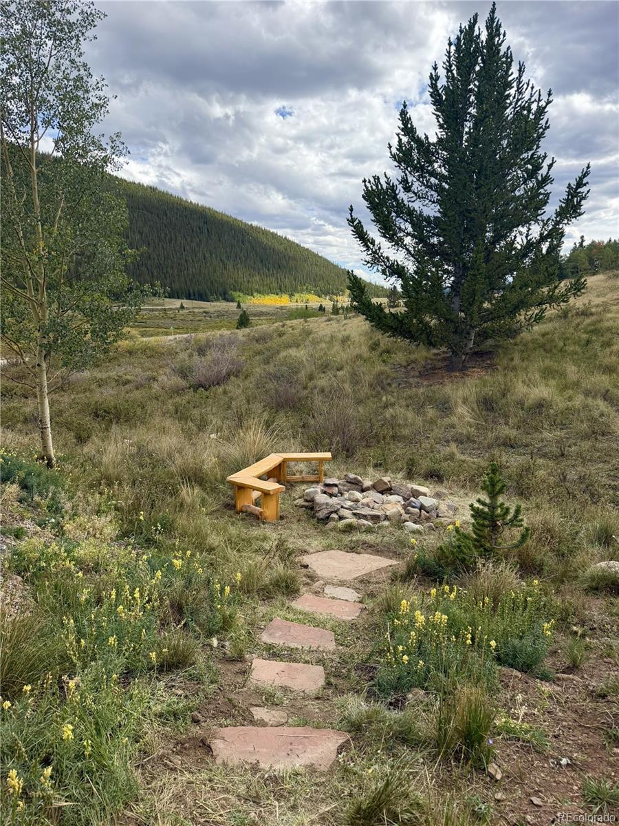 141 Quartzville Road Alma, CO 80420 - Photo 45 of 48 Gallery Image 45