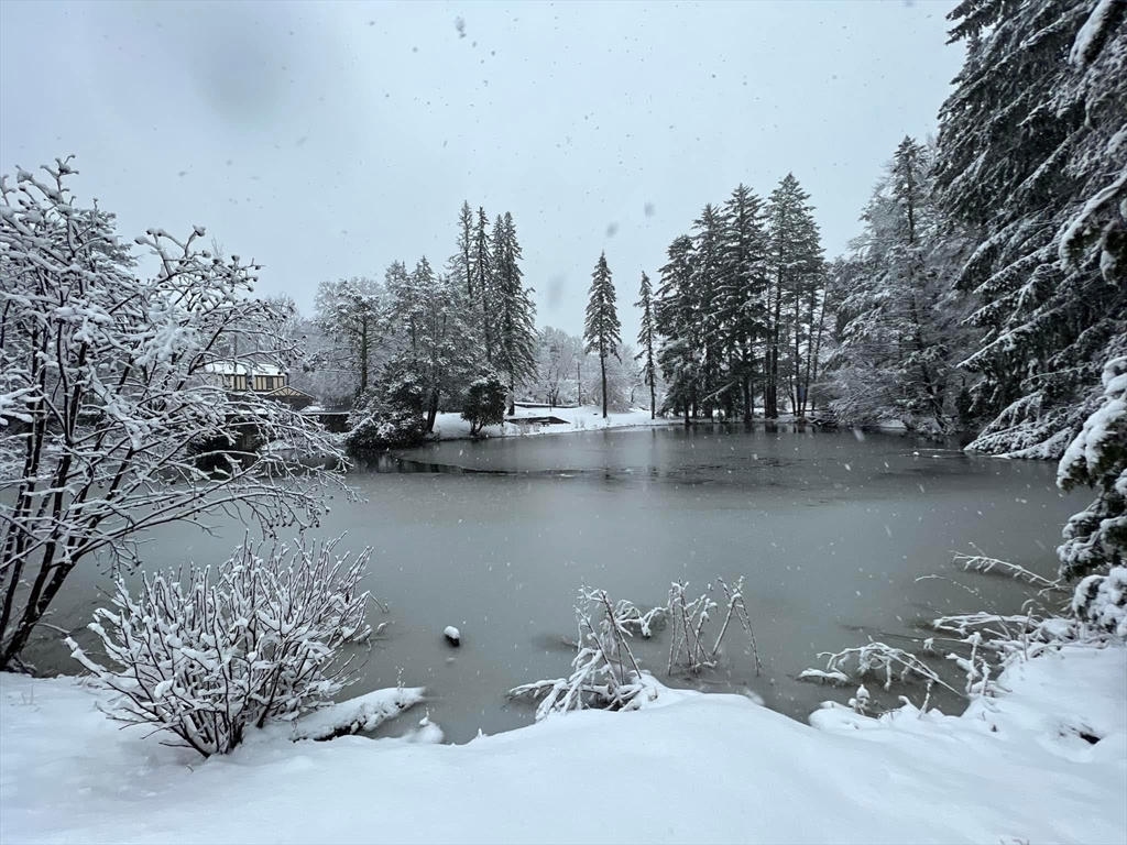 5 Old Brook Drive Worcester, MA 01609 - Photo 12 of 42 a view of a lake with a mountain view