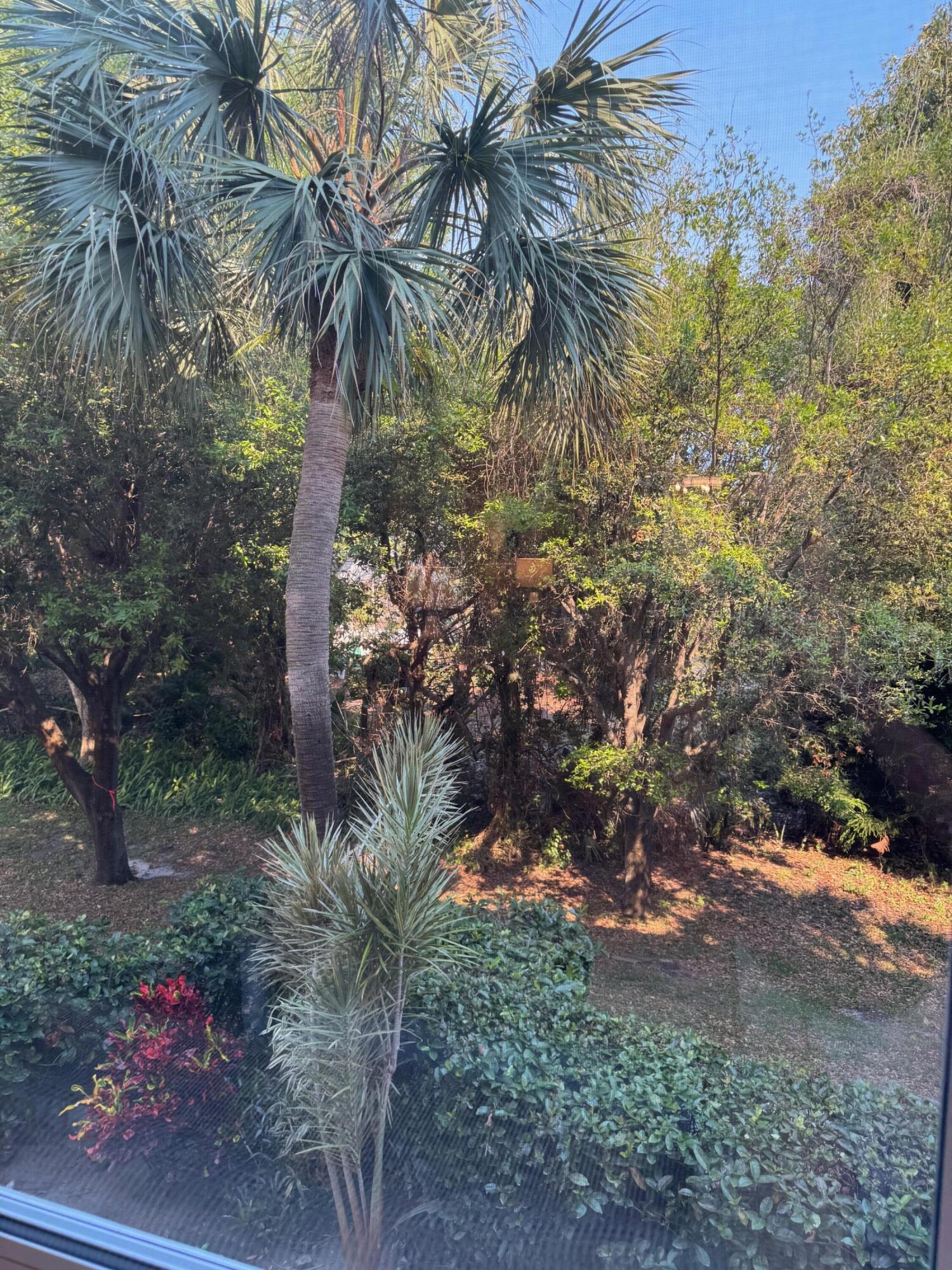 2950 Southeast Ocean Boulevard, Unit 110202 Stuart, FL 34996 - Photo 18 of 25 a backyard of a house