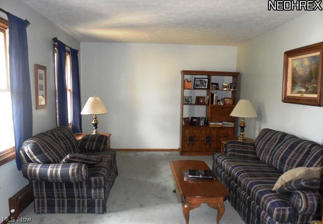 3975 Huffman Road Medina, OH 44256 - Photo 9 of 24