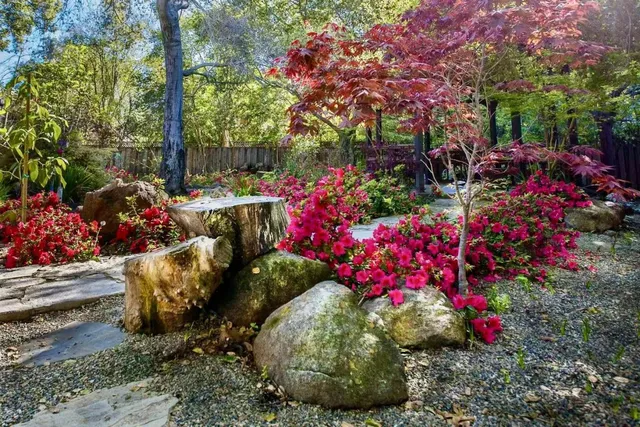 a view of a flower in a yard