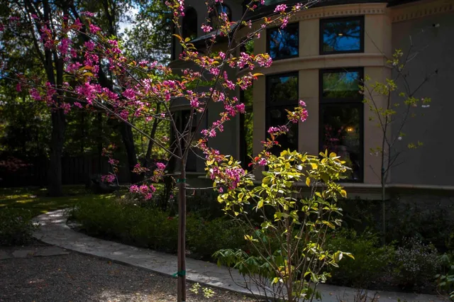 $99,000 | 46 Almendral Avenue, Atherton, CA 94027