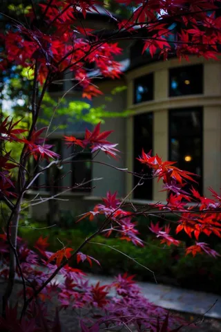 $99,000 | 46 Almendral Avenue, Atherton, CA 94027