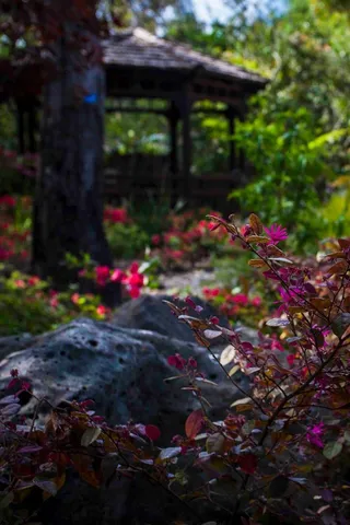 $99,000 | 46 Almendral Avenue, Atherton, CA 94027