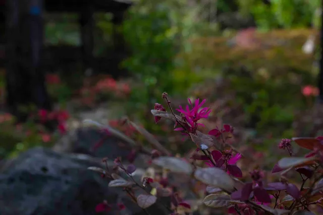 $99,000 | 46 Almendral Avenue, Atherton, CA 94027